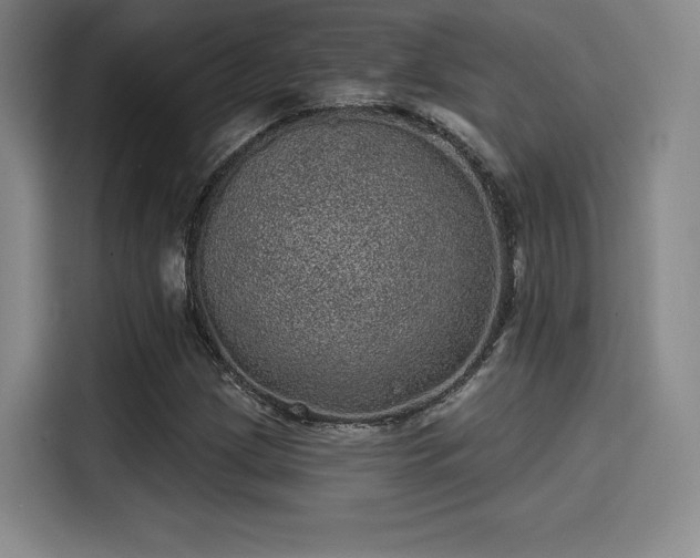 X0000114201209200910161218