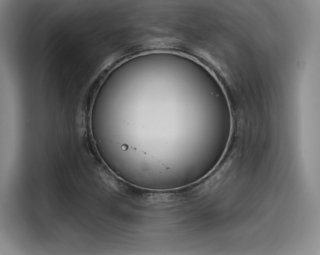 X0000114201211200910161218