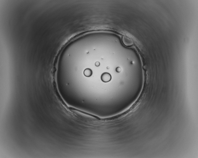 X0000114201212200910161218