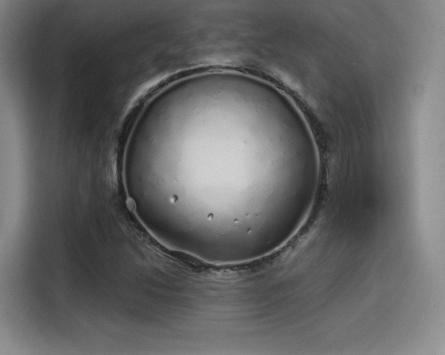 X0000114201214200910161218