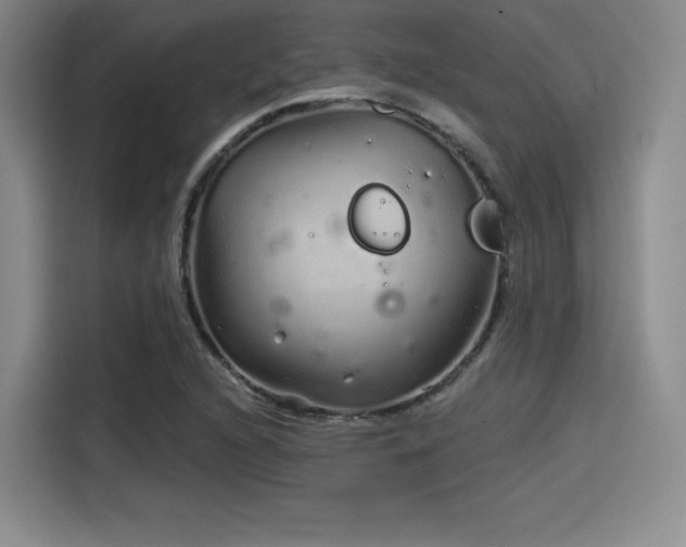 X0000114201216200910161218