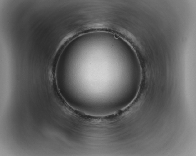 X0000114201218200910161218