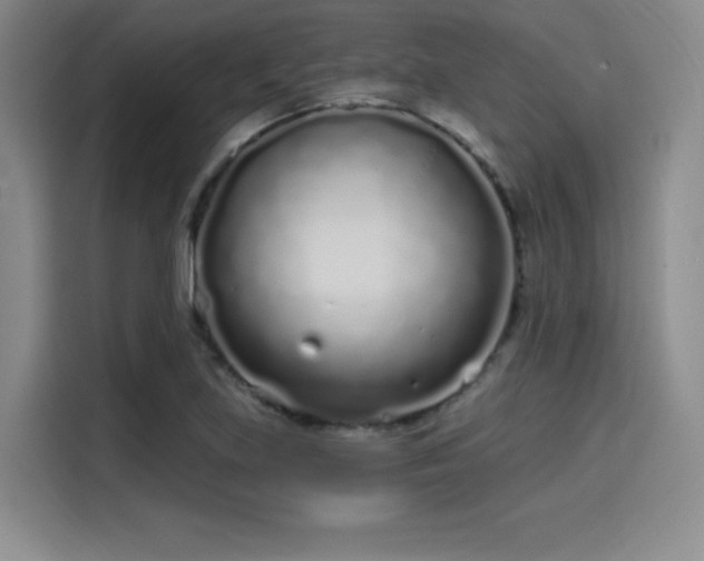 X0000114201219200910161218