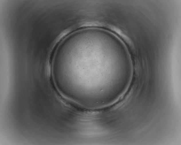 X0000114201221200910161218