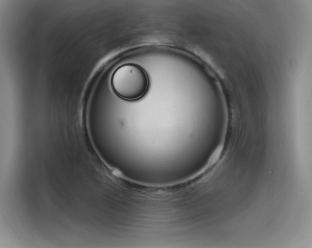 X0000114201222200910161218