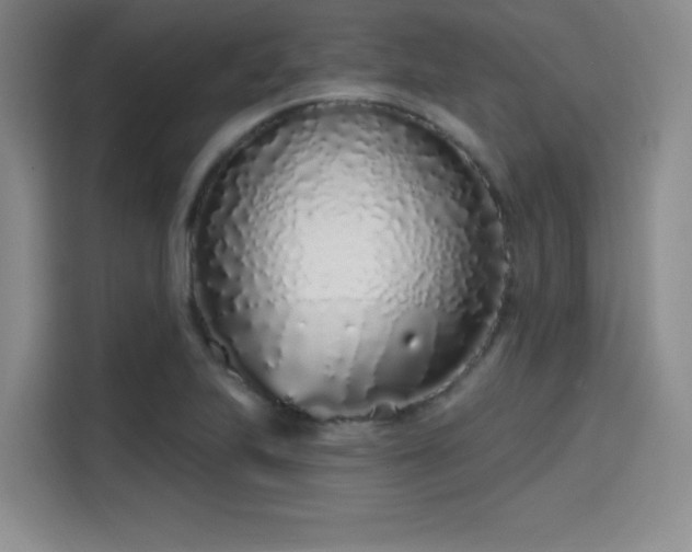 X0000114201223200910161218