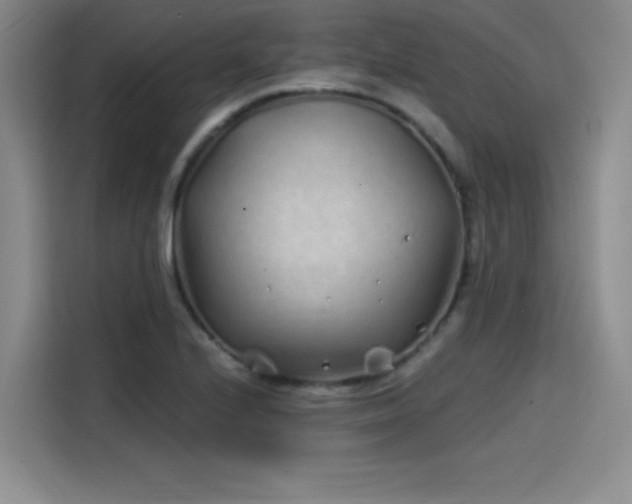 X0000114201224200910161218