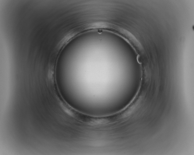 X0000114201225200910161218