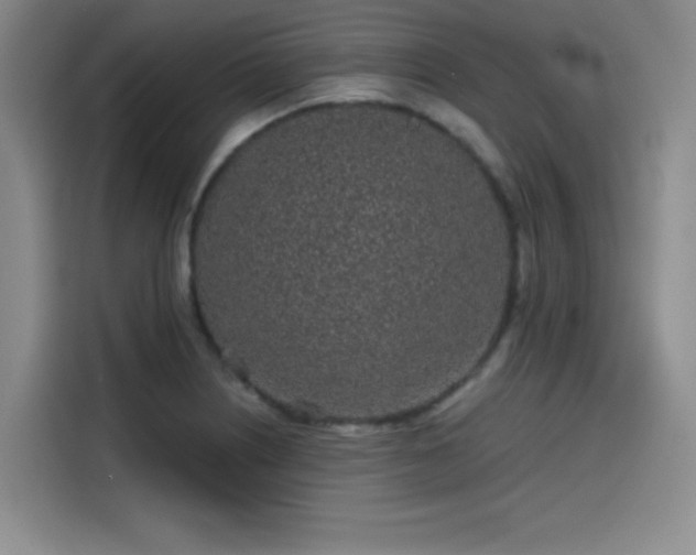 X0000114201226200910161218