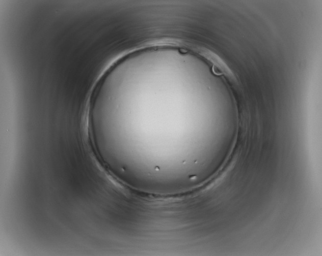 X0000114201228200910161218