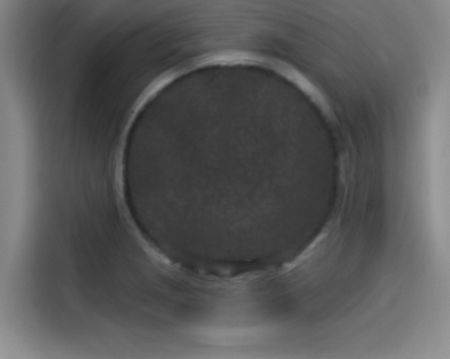 X0000114201229200910161218