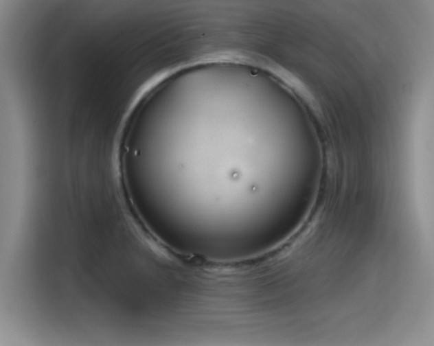 X0000114201230200910161218