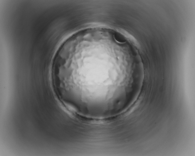 X0000114201231200910161218