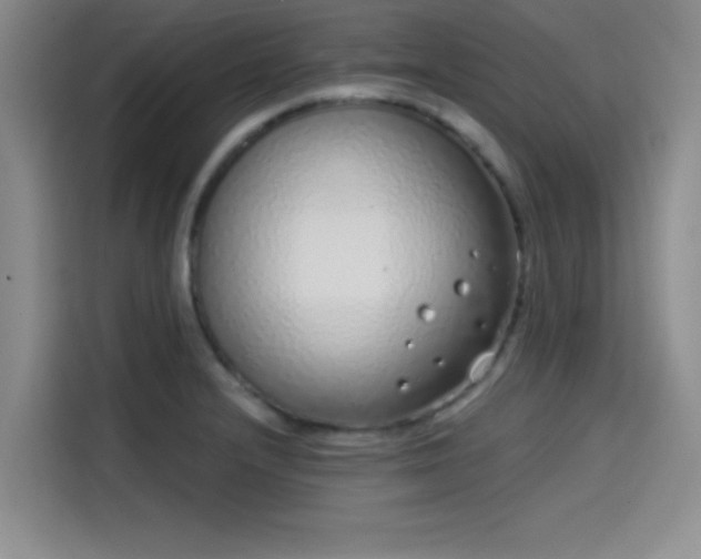 X0000114201232200910161218