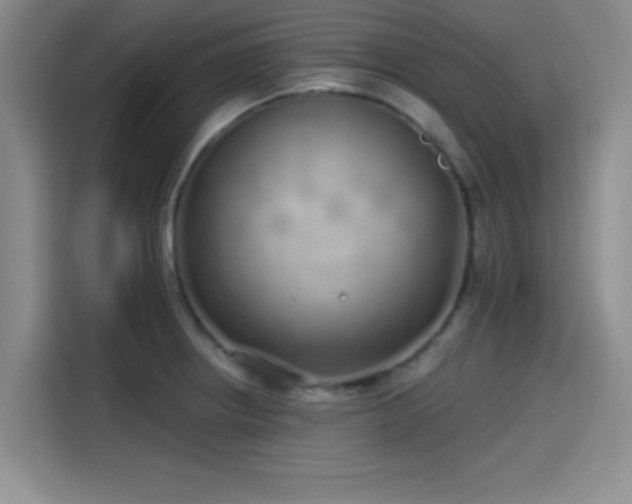 X0000114201234200910161218