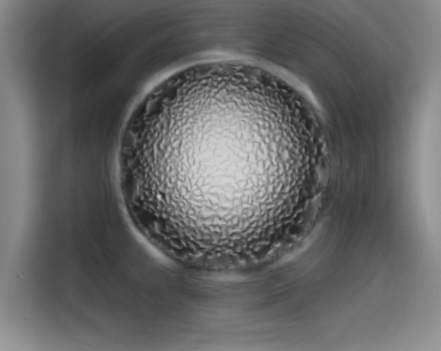 X0000114201239200910161218