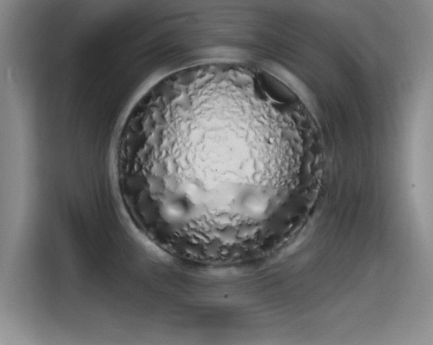 X0000114201243200910161218