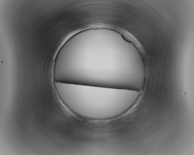 X0000114201244200910161218