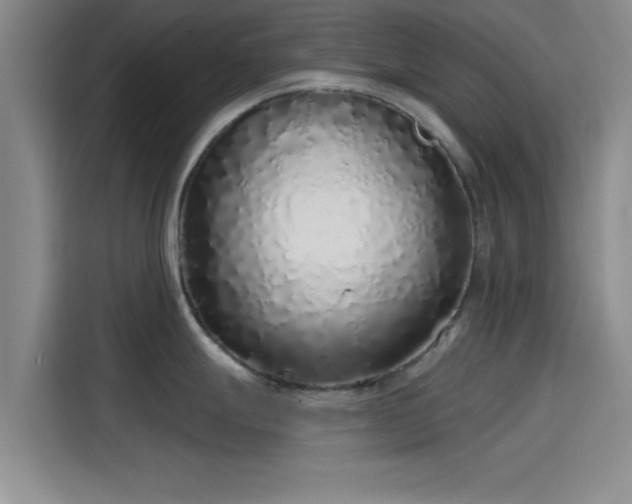 X0000114201247200910161218