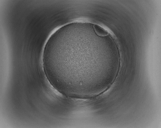 X0000114201248200910161218