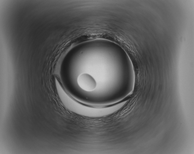 X0000114201249200910161218