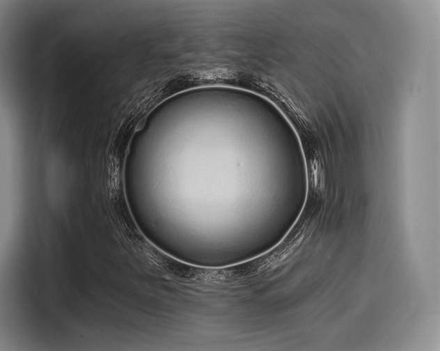 X0000114201251200910161218