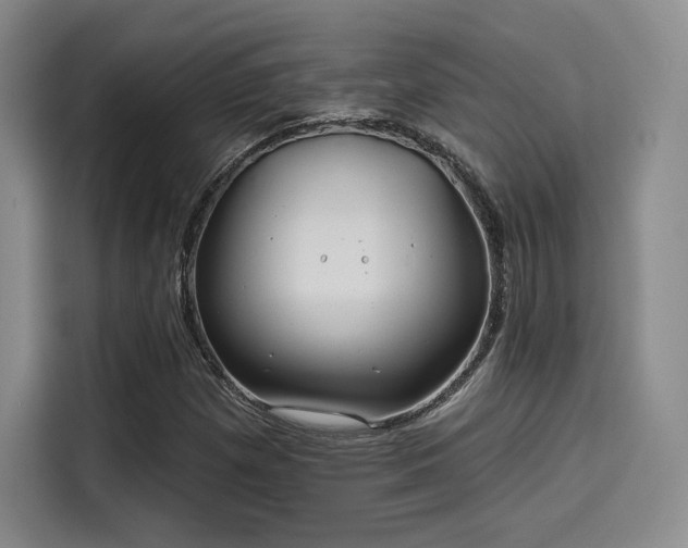 X0000114201257200910161218