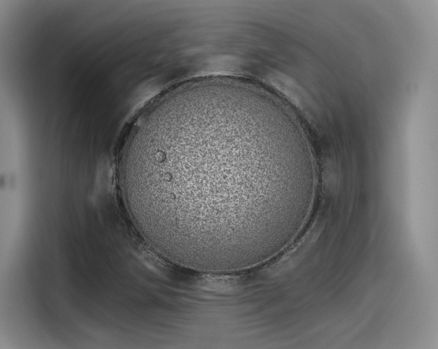 X0000114201258200910161218