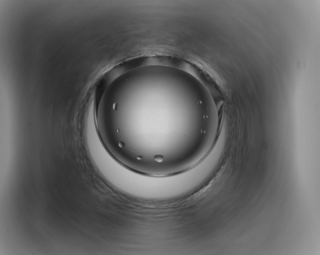 X0000114201261200910161218