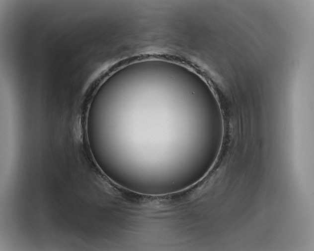 X0000114201262200910161218