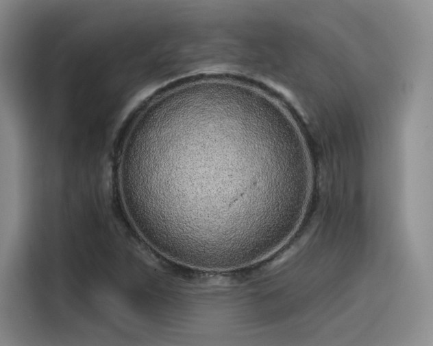 X0000114201263200910161218