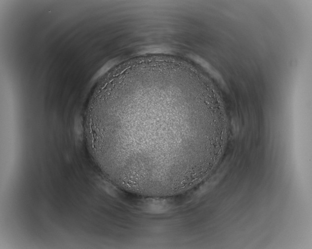 X0000114201266200910161217