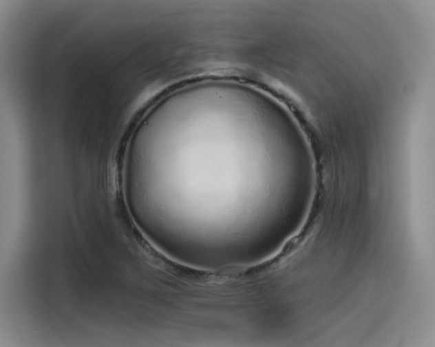 X0000114201267200910161217