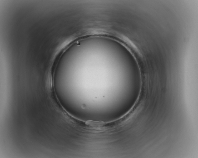 X0000114201269200910161217