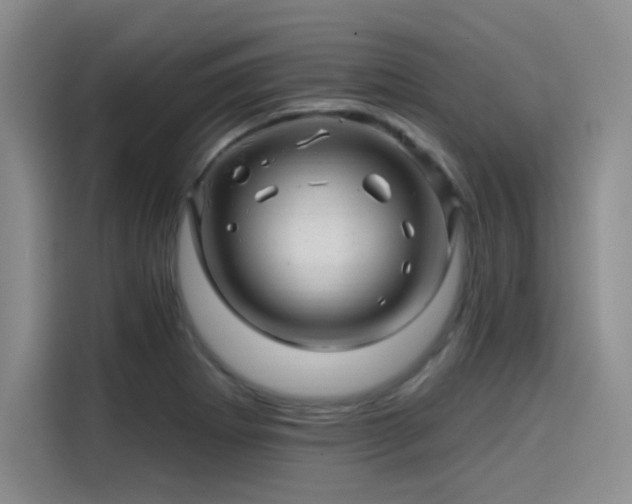 X0000114201273200910161217