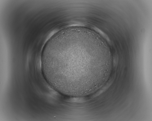 X0000114201274200910161217