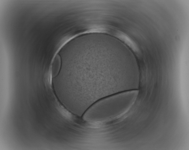 X0000114201276200910161217