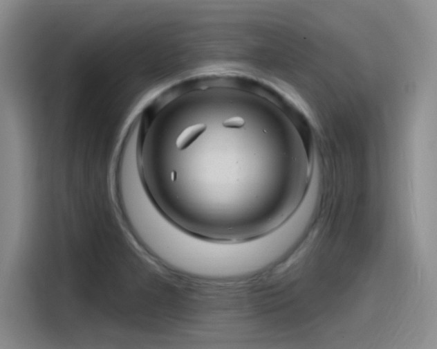 X0000114201277200910161217