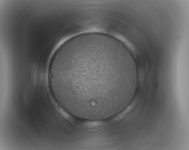 X0000114201278200910161217