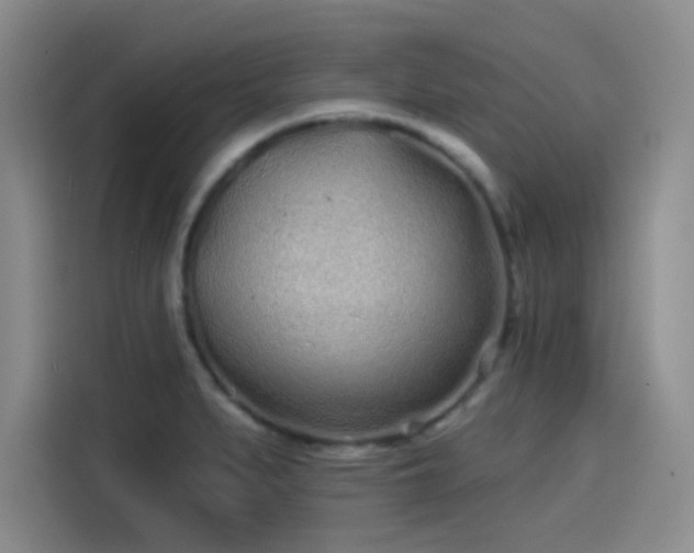 X0000114201279200910161217