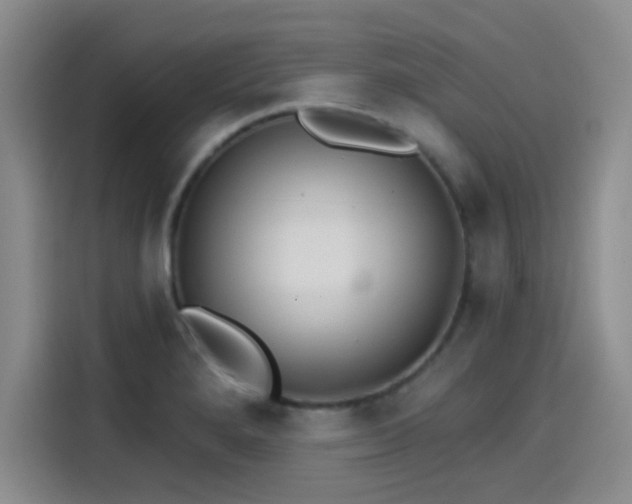 X0000114201280200910161217