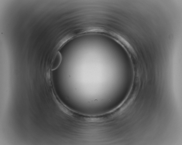 X0000114201281200910161217