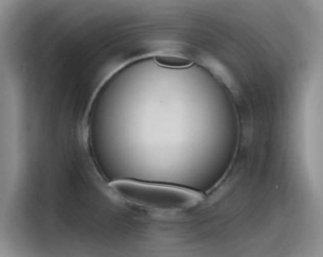 X0000114201284200910161217