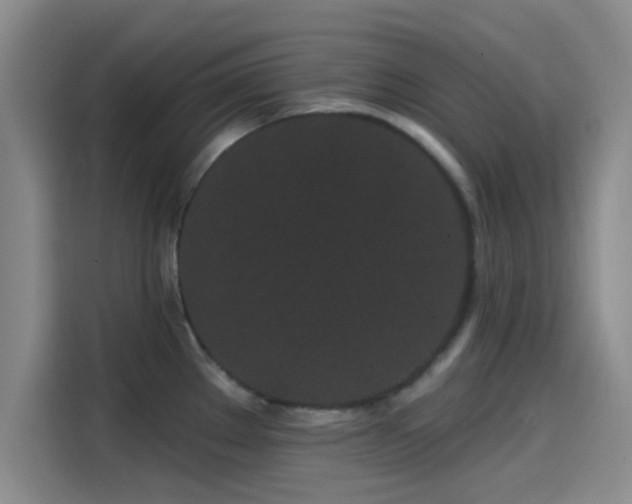 X0000114201289200910161217