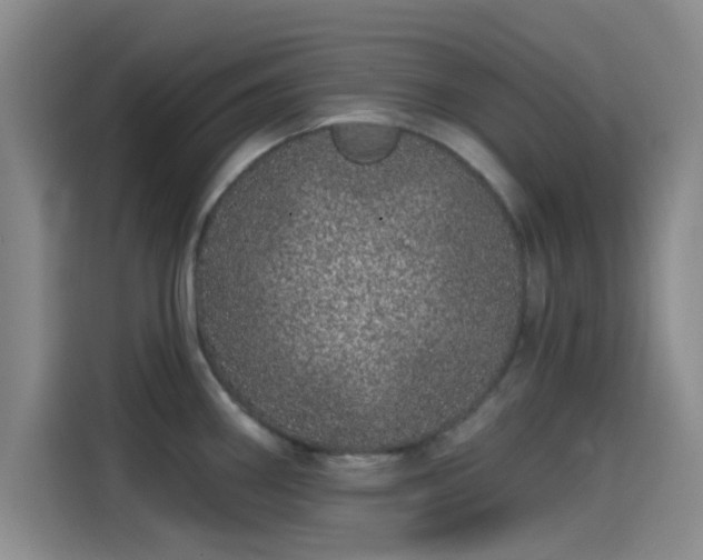 X0000114201290200910161217