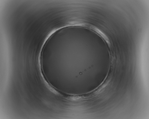 X0000114201291200910161217