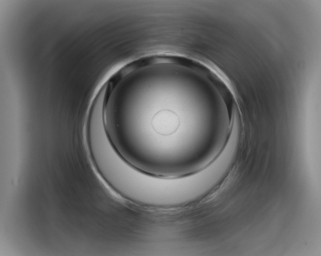 X0000114201293200910161217