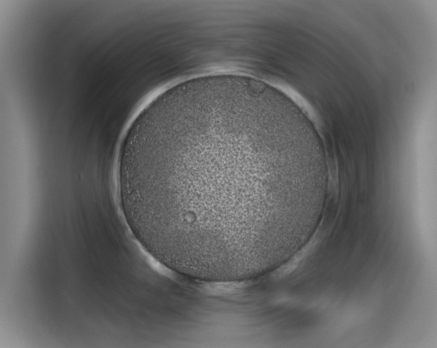 X0000114201294200910161217