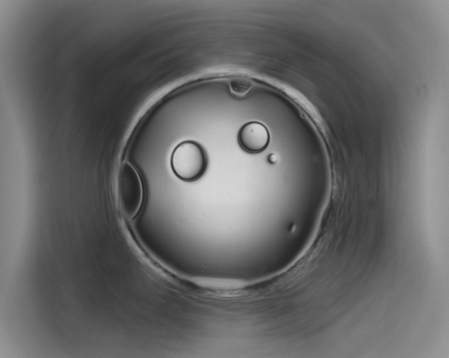 X0000114201295200910161217