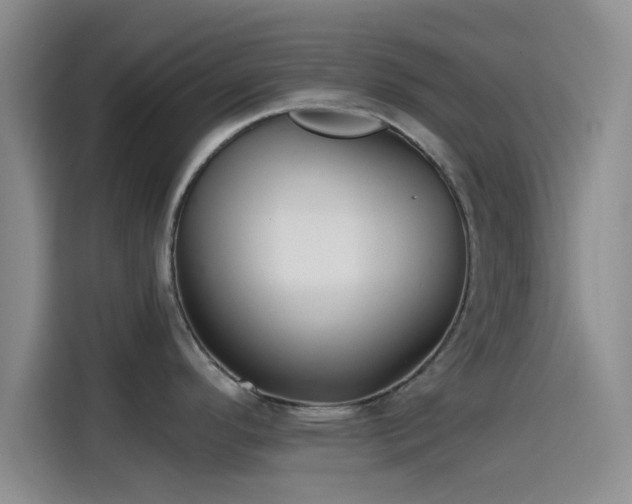 X0000114201296200910161217